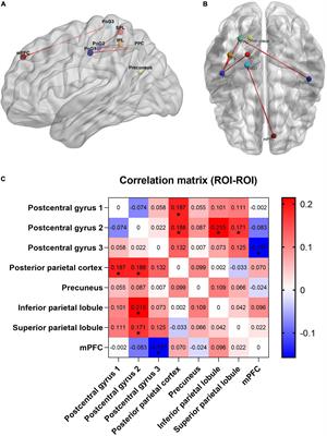 Comorbid depressive symptoms can aggravate the functional changes of the pain matrix in patients with chronic back pain: A resting-state fMRI study